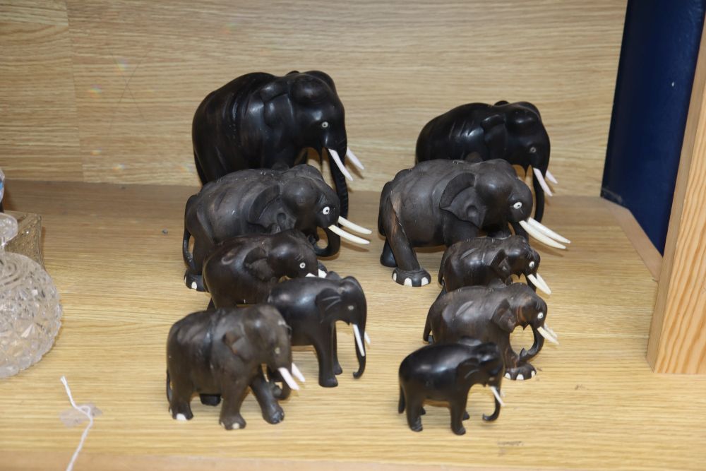 Ten Indian carved ebony elephants, with ivory tusks, c.1900, tallest 16cm